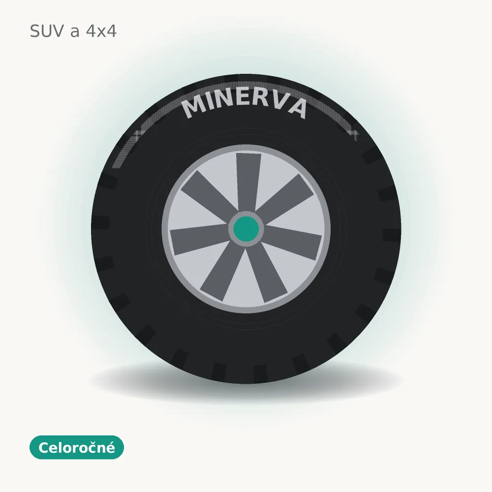 Minerva celoročné pneumatika