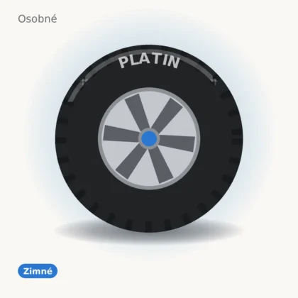 Platin zimné pneumatika